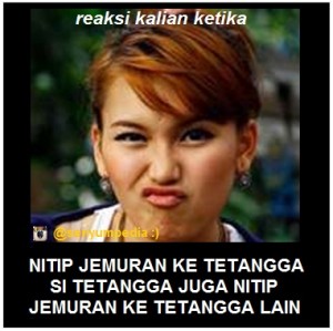 Meme Ayu 2