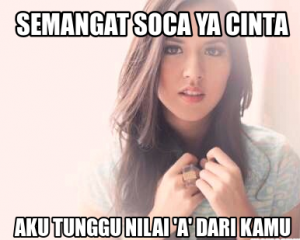 Meme Raisa 2