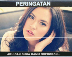 Meme Raisa 3